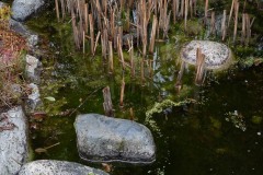 AlanKlughammer.com_20260101-_AZ75301