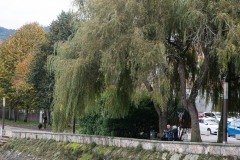 AlanKlughammer.com_20191030-20191030-_AK51796