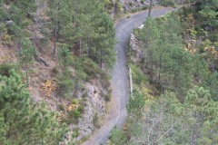AlanKlughammer.com__AK51391