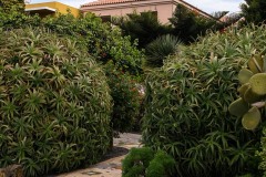 AlanKlughammer.com__AK51430