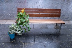 AlanKlughammer.com__AK51502