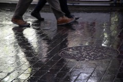 AlanKlughammer.com__AK51537