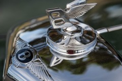 AlanKlughammer.com_20250706-_AZ73547