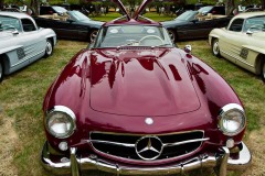 AlanKlughammer.com_Gullwing.retouched