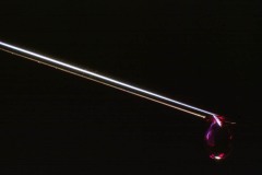 Needle Sharp