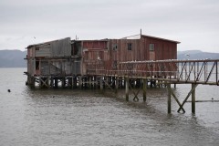 AlanKlughammer.com_20230405-_8502342
