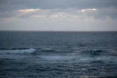 AlanKlughammer.com_20230407-_8503198