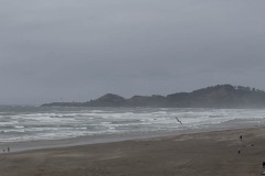AlanKlughammer.com_20230408-_8503251