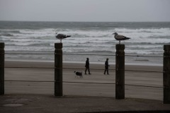 AlanKlughammer.com_20230408-_8503254