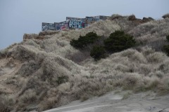 AlanKlughammer.com_20230408-_8503272