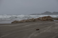AlanKlughammer.com_20230408-_8503286