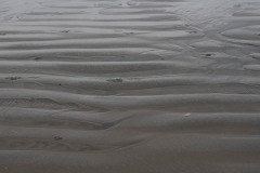 AlanKlughammer.com_20230408-_8503291