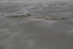 AlanKlughammer.com_20230408-_8503293