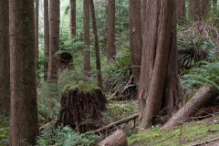 AlanKlughammer.com_20230408-_8503343