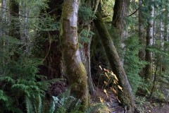 AlanKlughammer.com_20211011-_AK57485