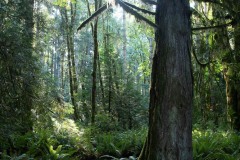 AlanKlughammer.com_20211011-_AK57486-2