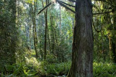 AlanKlughammer.com_20211011-_AK57486