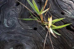 AlanKlughammer.com_20211011-_AK57515