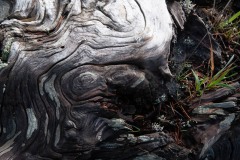 AlanKlughammer.com_20211011-_AK57517