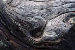 AlanKlughammer.com_20211011-_AK57518