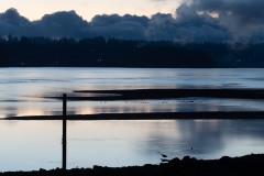 AlanKlughammer.com_20211013-_AK57640