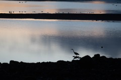 AlanKlughammer.com_20211013-_AK57644