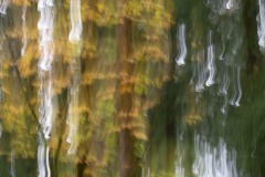 AlanKlughammer.com_20211013-_AK57680