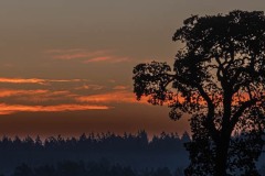 Sunrise over Saanich