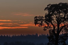Sunrise over Saanich