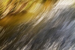 AlanKlughammer.com_10102010-5261