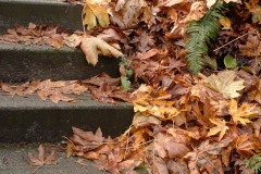 AlanKlughammer.com_20031102-f69284044