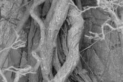 AlanKlughammer.com_20040221-f69320636