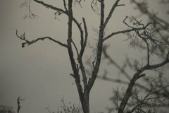 AlanKlughammer.com_20070128-f69349646