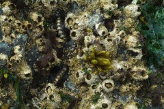 AlanKlughammer.com_20070616-f47029378