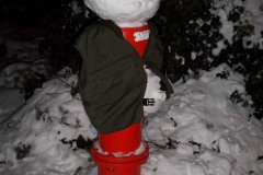 AlanKlughammer.com_20081215-100_1611