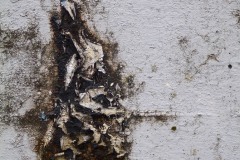 AlanKlughammer.com_20100325-100210dscf2941-2