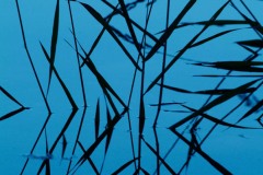 AlanKlughammer.com_20100419-f38529802