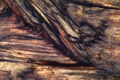 AlanKlughammer.com_20100506-060510dscf3638