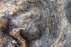 AlanKlughammer.com_20130119-20130119-20130119-_DSC0098