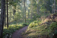 AlanKlughammer.com_20130119-20130119-_DSC0107