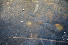 AlanKlughammer.com_20130119-20130119-_DSC0130