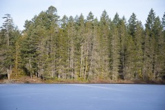 AlanKlughammer.com_20130119-_DSC0124
