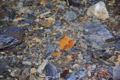 AlanKlughammer.com_20130126-_akp0335