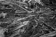 Image available as Limited edition prints. Contact me for availability.