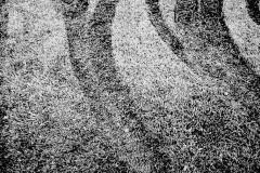 AlanKlughammer.com_20130906-AKP8542-BronwynEdit