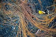 20131030-AKP_1728-Edit