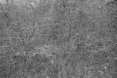 AlanKlughammer.com_20131205-AKP_3046-Edit