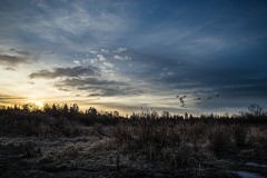 AlanKlughammer.com_20131219-20131219-AKP_3287-Edit155