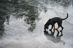 AlanKlughammer.com_20140101-AKP_3611-Edit