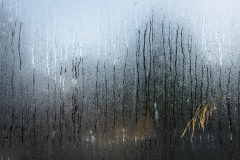 Image available as Limited edition prints. Contact me for availability.